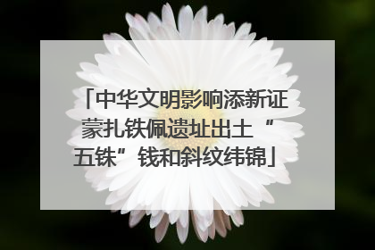 中华文明影响添新证 蒙扎铁佩遗址出土“五铢”钱和斜纹纬锦